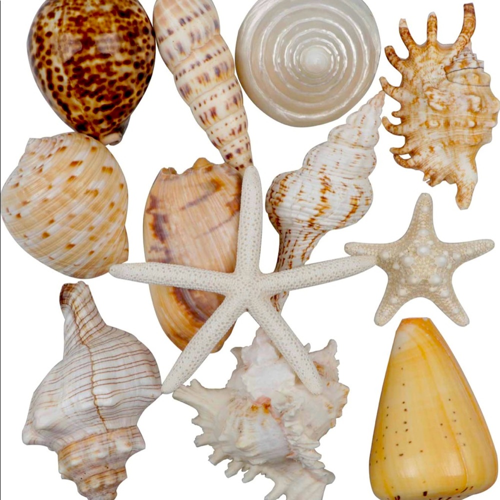 Coastal Decor
